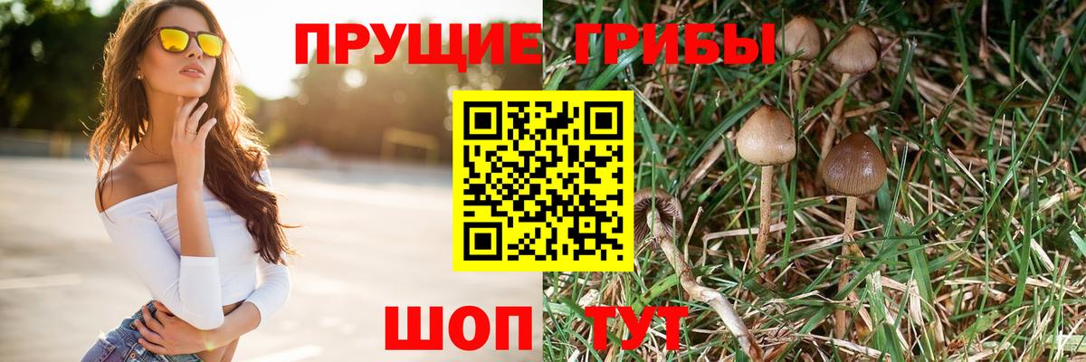 Псилоцибиновые грибы MAGIC MUSHROOMS  Вход с VPN  Богданович 