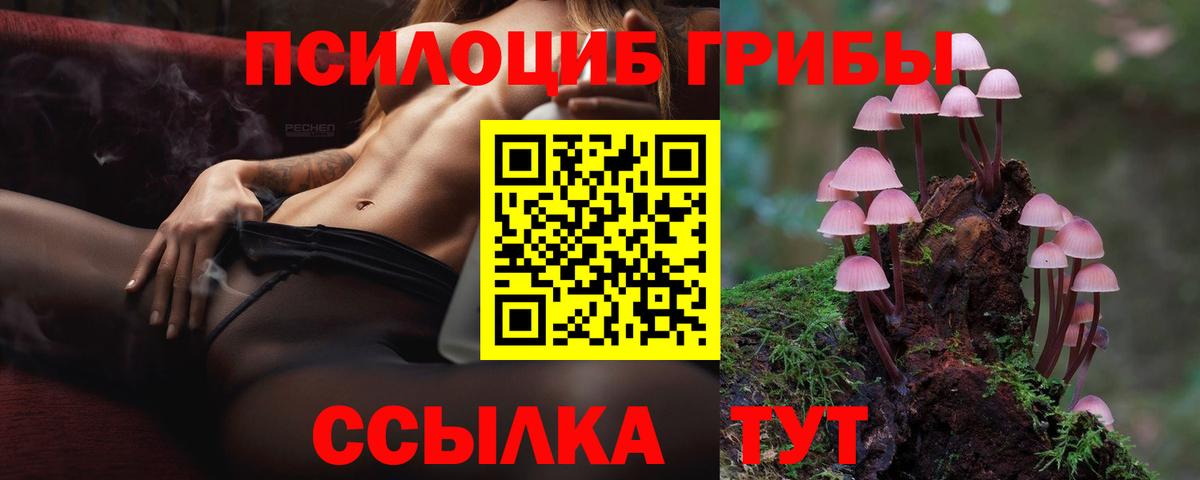 Псилоцибиновые грибы Psilocybine cubensis Богданович